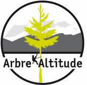 Arbre'Altitude